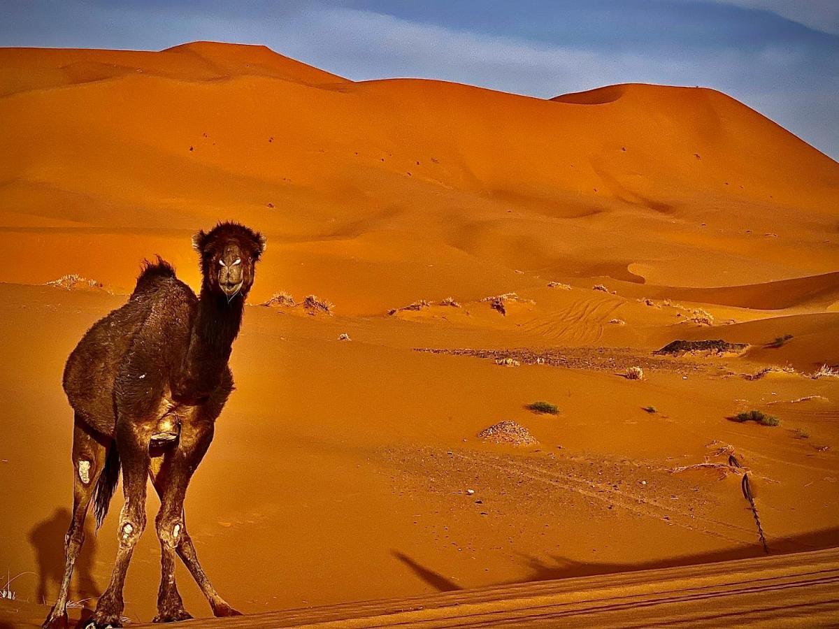 Your Berber Camp Merzouga Exterior photo